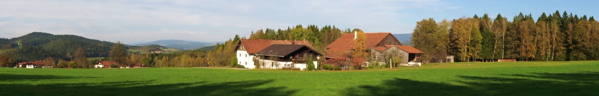 Bild "Startseite:header_heigl3.jpg"